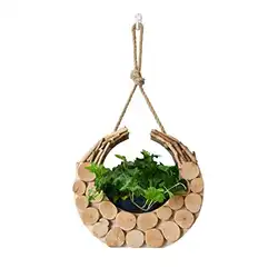 Une image de Les jardinières suspendues : le cadeau idéal pour les Capricornes