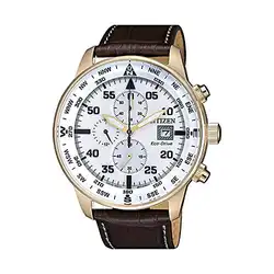 Une image de Offrez à un Lion une montre aviateur pour révéler son charisme