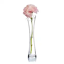 Une image de 🌱💐Femmes Capricorne: Offrez-vous le Bamboopack Petit vase en verre soufflé 💐🌱