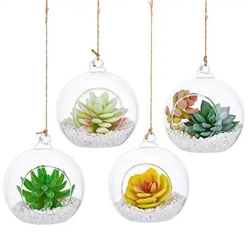 Une image de Le cadeau idéal pour une amie verseau: Le Glasseam Terrarium en Verre Suspendu