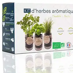 Une image de 🔖🌿 Un cadeau qui fait pousser l’amour pour les Cancers 🌿 