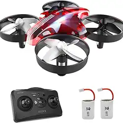 Une image de Le Drone ATOYX : un cadeau pour révéler les qualités du Lion
