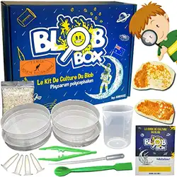 Une image de La Blob Box: Le cadeau parfait pour les enfants nés sous le signe astrologique Scorpion 🦂 😃